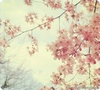 af001's picture